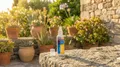Spray Akileïne Tano, lotion tannante pour préparer la peau avant le running