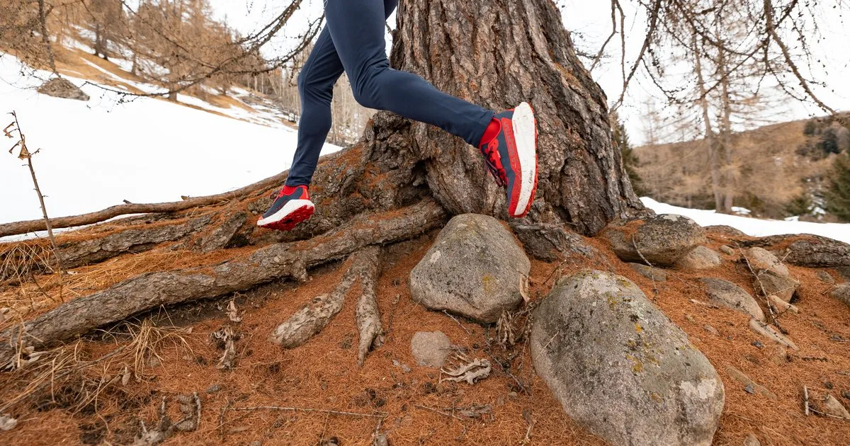 La Sportiva Prodigio 2 GTX, coloris Nightsky/Mountain Red, en action sur un sentier technique au pied d'un mélèze