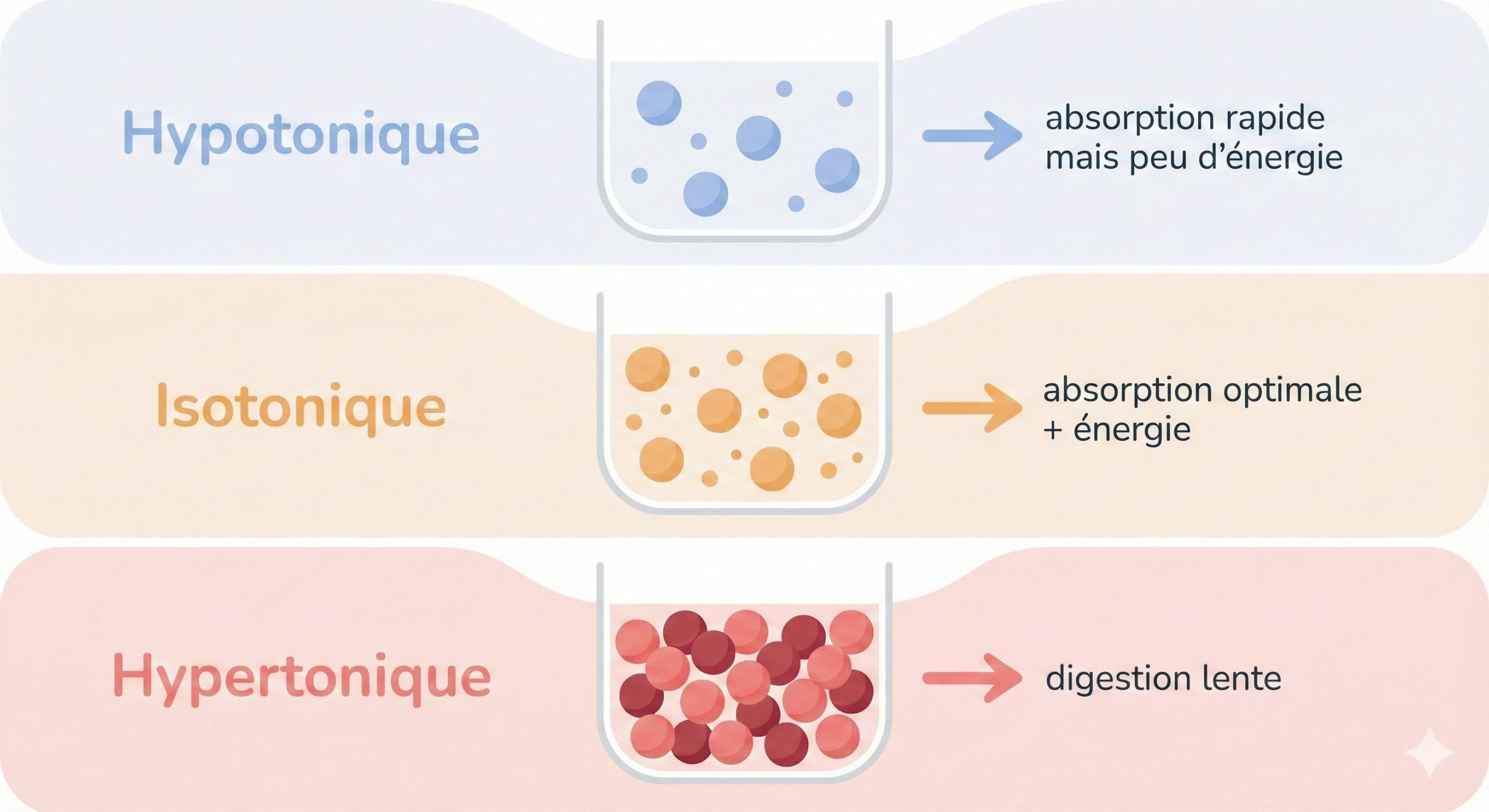 Hypo : Iso : Hyper Illustration différences Hypo : Iso : Hyper